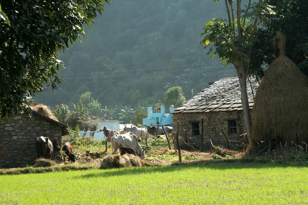 Village on lap of Mountain — Stock Photo, Image
