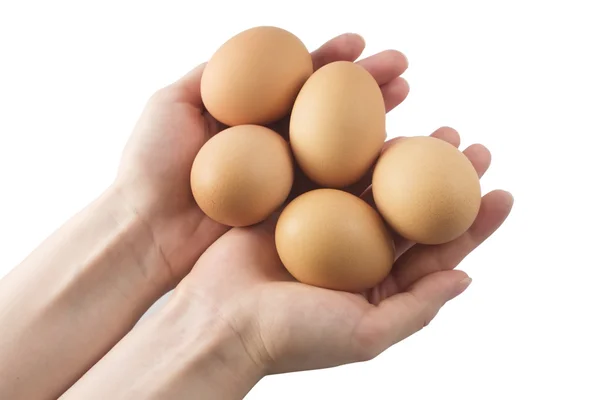 Eggs in the hands — Stock Photo, Image
