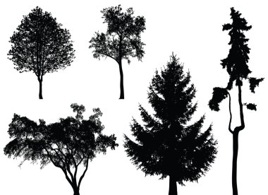 Trees - vector set clipart