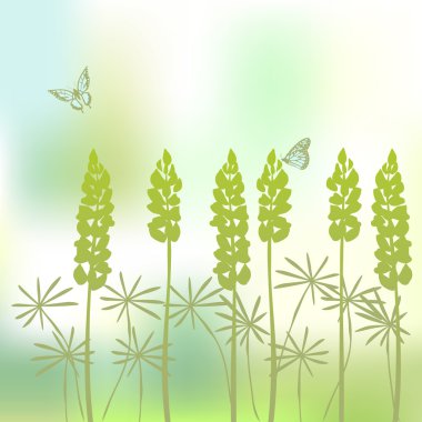 Background from flower of the lupine clipart