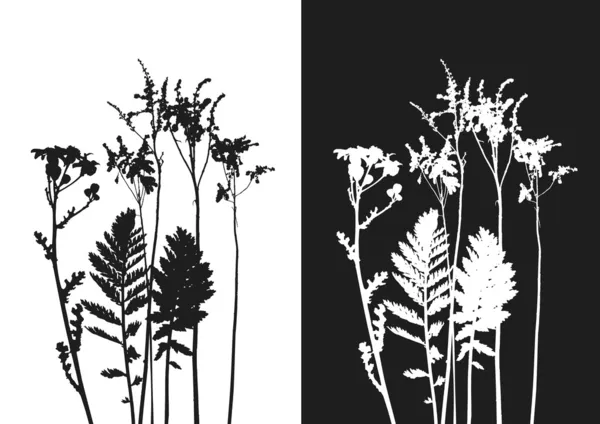 Silhouette d'herbe réelle - vecteur - deux col — Image vectorielle