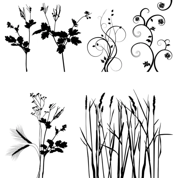 Коллекция для дизайнеров, вектор растений — стоковый вектор
