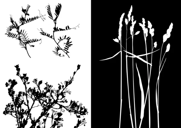 Коллекция для дизайнеров, вектор растений — стоковый вектор