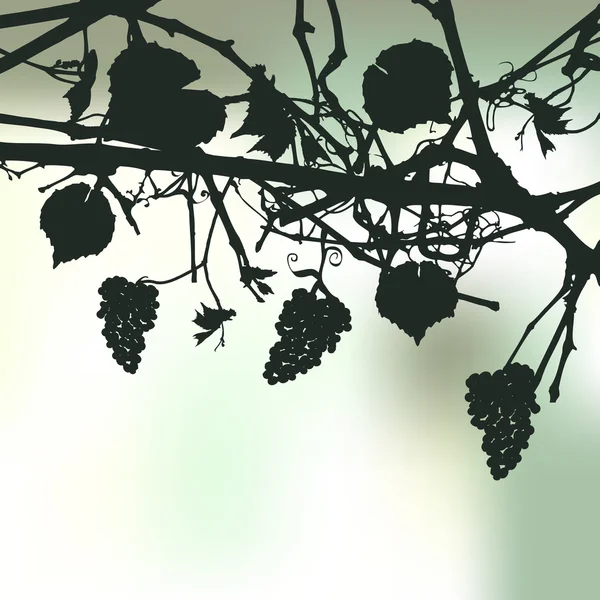 Floral achtergrond met een druiven, een ruimte — Stockvector