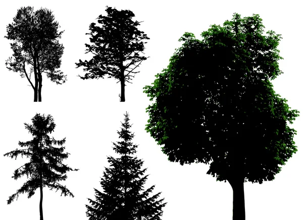 Деревья - векторный набор — стоковый вектор