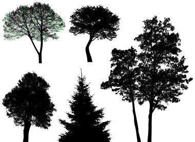 Trees - vector set clipart