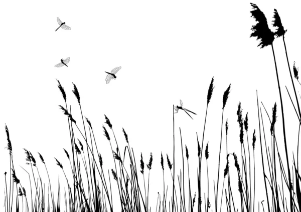 Echte gras silhouet en dragonfly — Stockvector