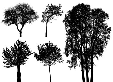 Trees - vector set clipart