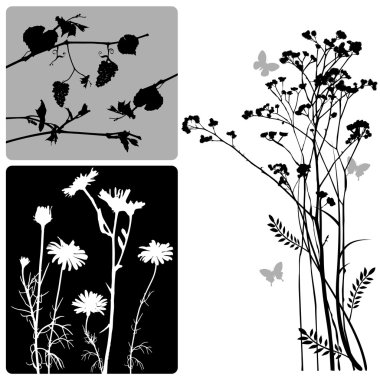 Real plants silhouette - vector set clipart