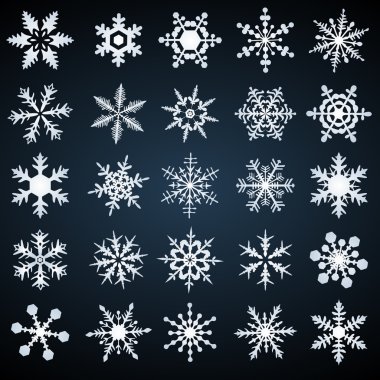 Cold crystal snowflakes - vector set clipart