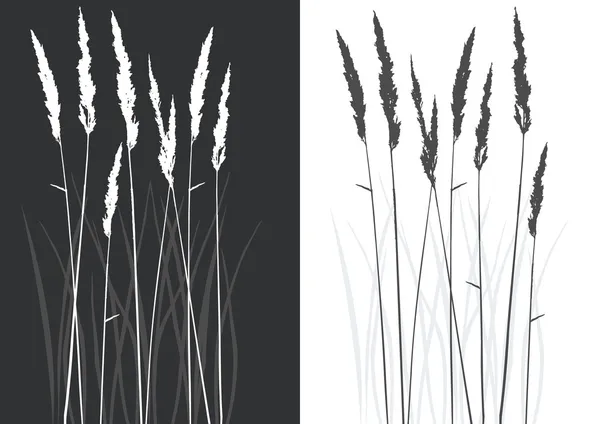 Echte gras silhouette - twee kleuren — Stockvector