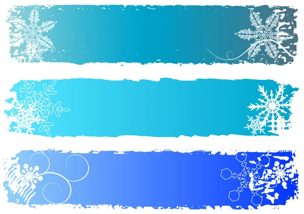 Vintern banners med utrymme för text — Stock vektor