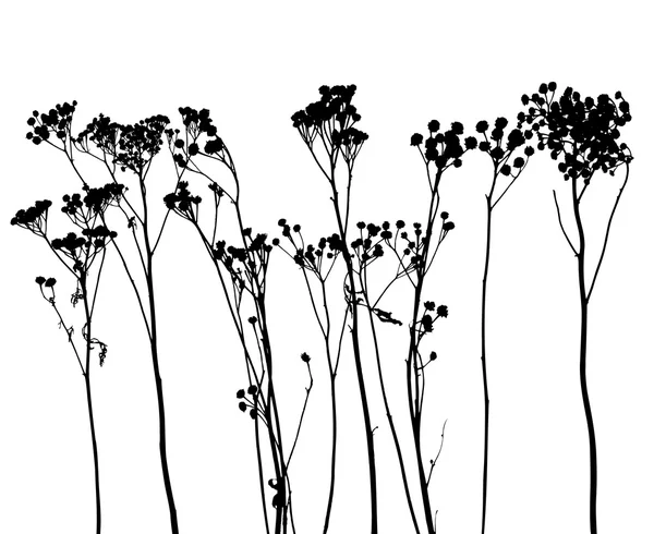 为设计师的植物矢量集合 — 图库矢量图片