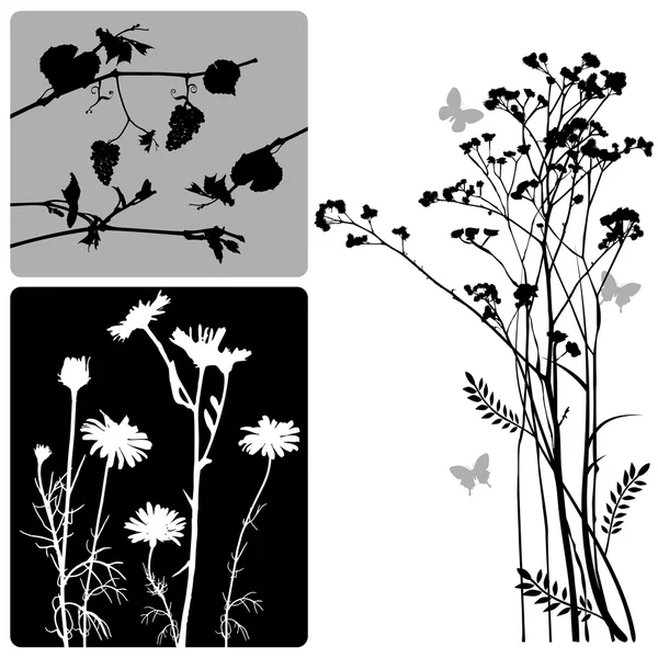 Echte planten silhouette - vector set — Stockvector