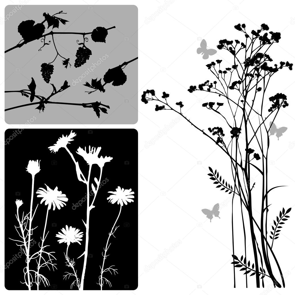 Real plants silhouette - vector set