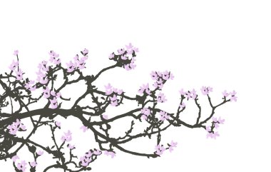 Floral Background, cherry wood clipart