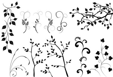 Collection for designers, plant vector clipart