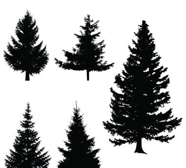 Noel ağacı ayarla, tasarım öğeleri