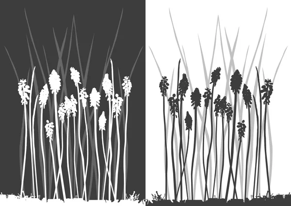 Ensemble de silhouettes vectorielles en herbe — Image vectorielle