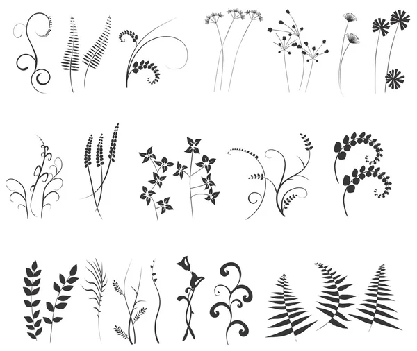 Colección, para diseñadores, vector de plantas — Archivo Imágenes Vectoriales