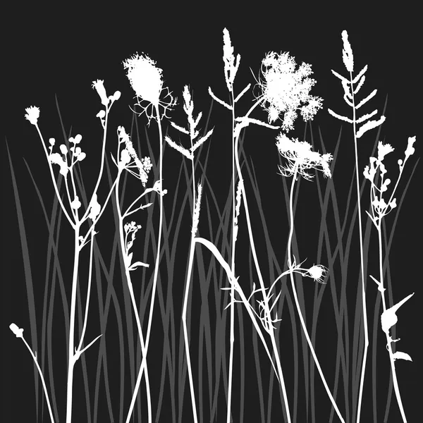 Silhouette en herbe véritable - vecteur — Image vectorielle