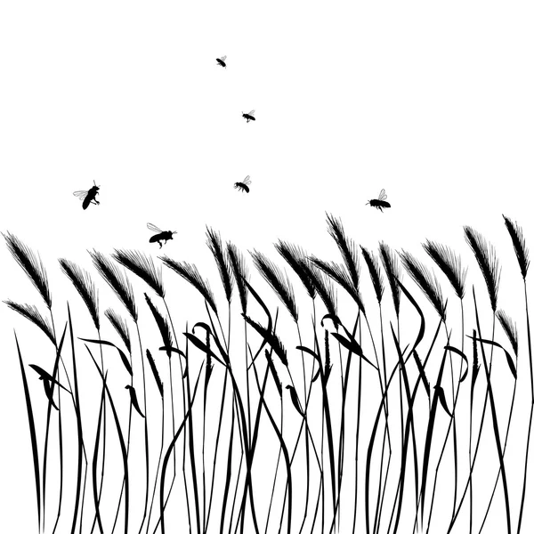 Set of vector grass silhouettes — Stock Vector