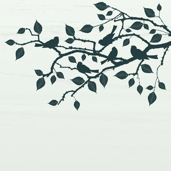 Fond floral, oiseaux — Image vectorielle