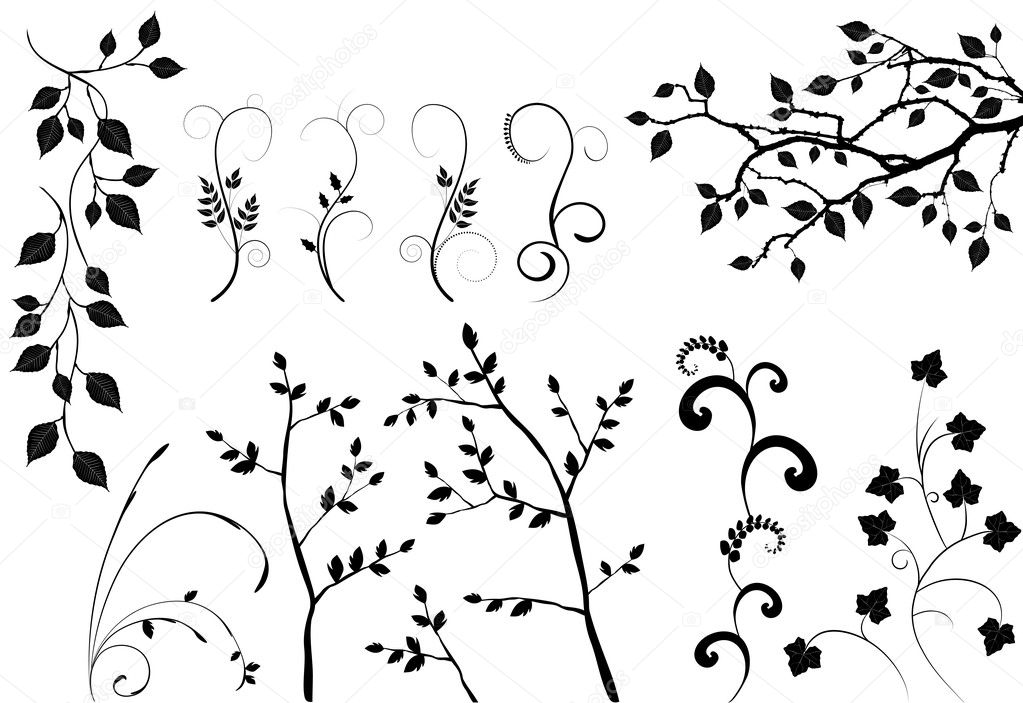 Collection for designers, plant vector