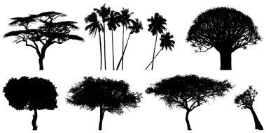 Exotic trees clipart