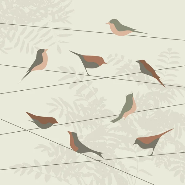 Abstraxt pozadí s ptáky — Stockový vektor