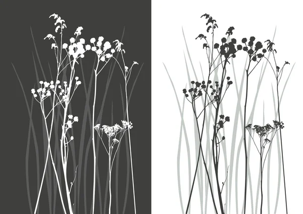Silhouette en herbe véritable - vecteur — Image vectorielle