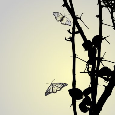 Background from flower with butterfly clipart