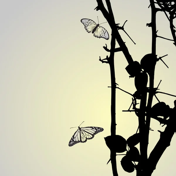 Fond de fleur avec papillon — Image vectorielle