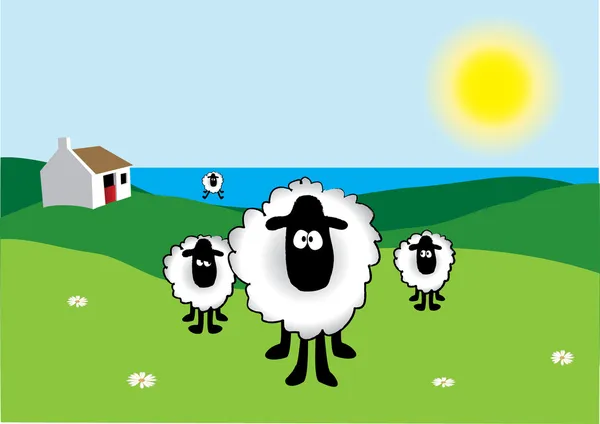 Πρόβατα — Διανυσματικό Αρχείο
