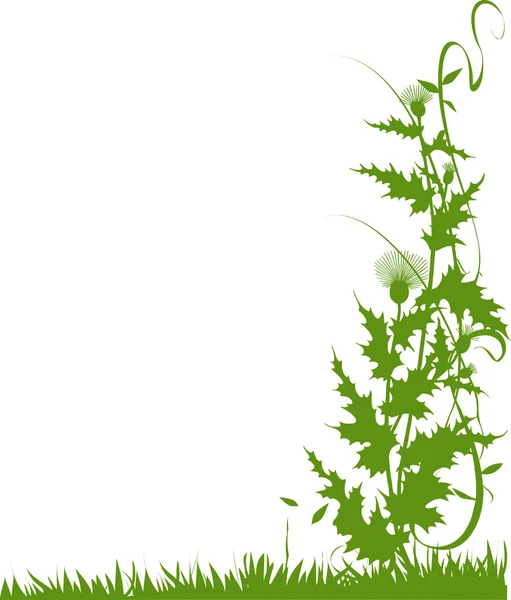 Vecteur floral — Image vectorielle