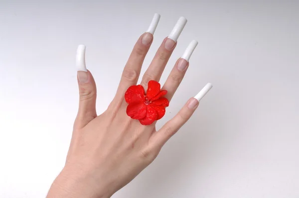 Dedos perfeitamente cuidados Dedos — Fotografia de Stock