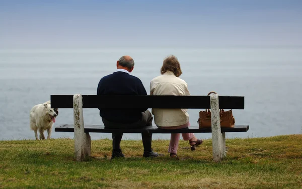 stock image Couple relaxing with dog