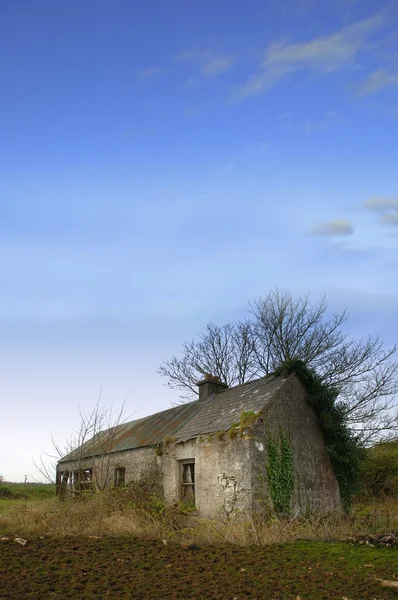 Cottage irlandese — Foto Stock