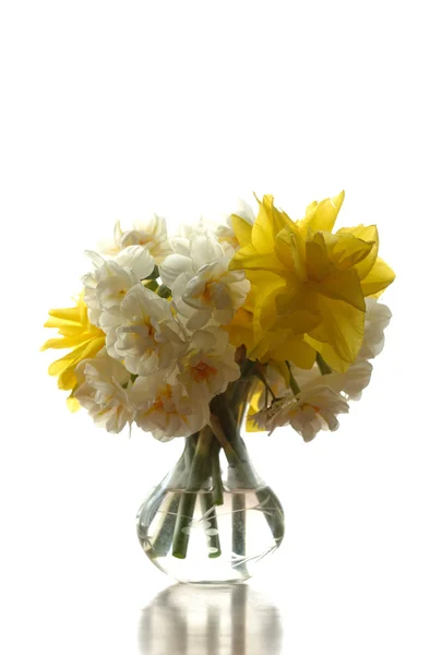 Gelbe Narzissen in einer Vase — Stockfoto