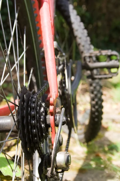 Engranajes de bicicleta —  Fotos de Stock