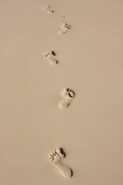 모래 위 의발 자국 로열티 프리 스톡 사진