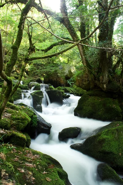 Golitha falls in Cornwall — Stock Photo, Image