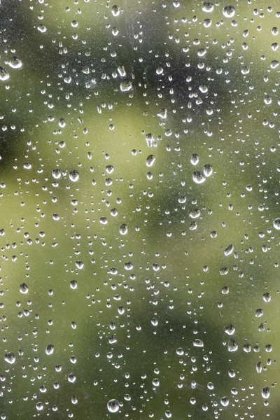 Yağmur damlaları — Stok fotoğraf