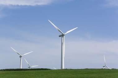 Windfarm3