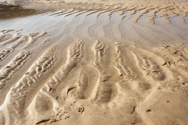 砂の隆起部分 — ストック写真