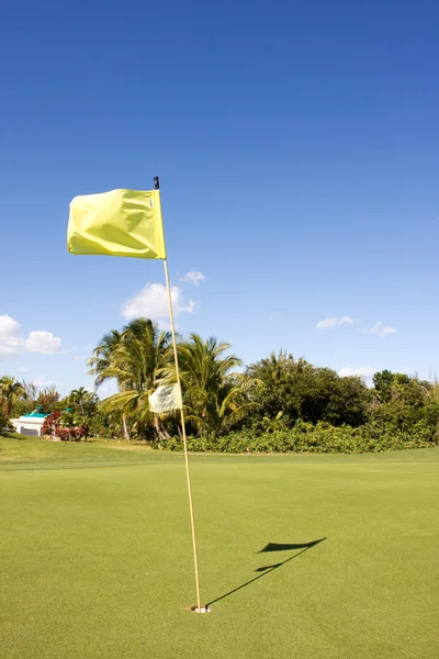 Golf zelená — Stock fotografie