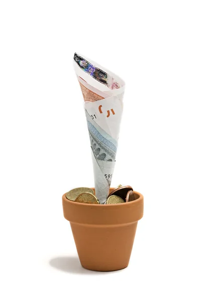 Para ağacını, euro. beyaz izole. — Stok fotoğraf
