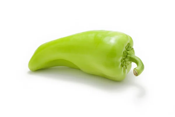 Одиночний зелений солодкий перець — стокове фото