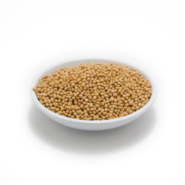 Mustard seeds in a serie of global spice — Stock Photo, Image