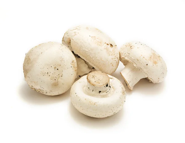 Witte champignons over Wit — Stockfoto